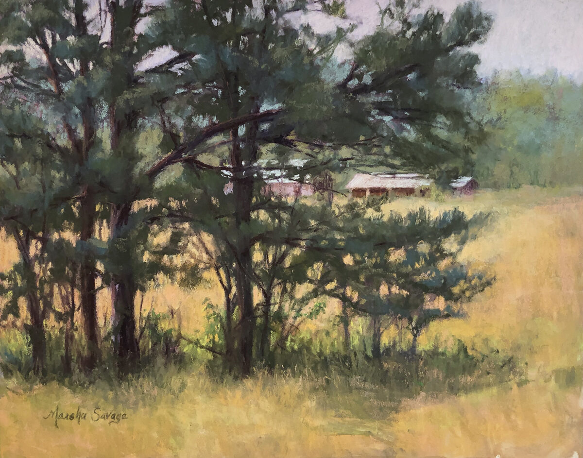 Pine Tree Oasis by Marsha Savage