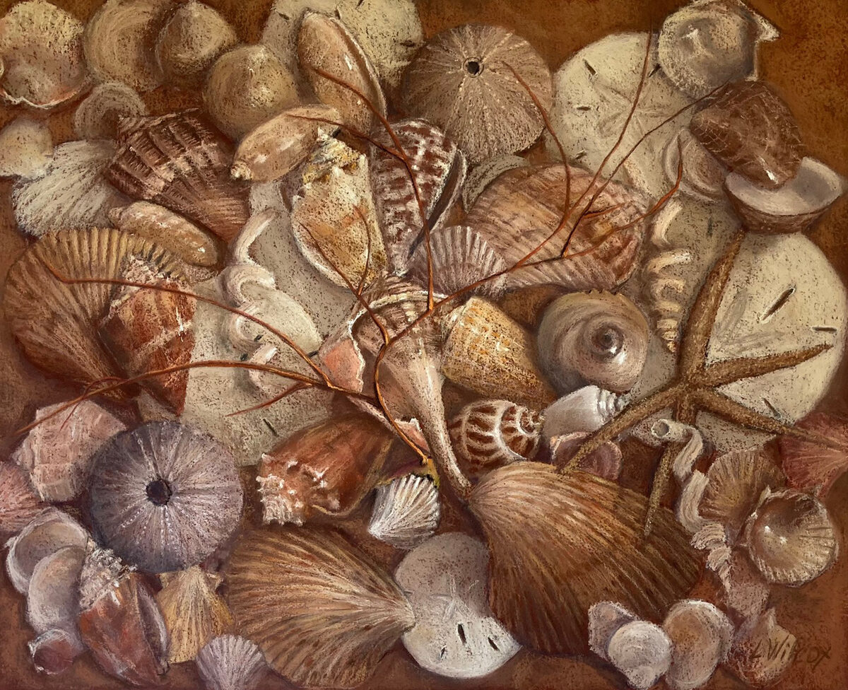 Shell Jumble by Lynne Wilcox