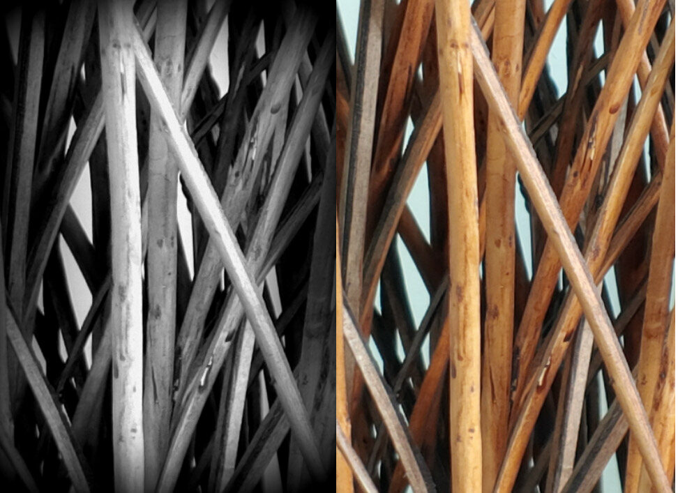 Associated Artists of Winston Salem: Opposites promotional image