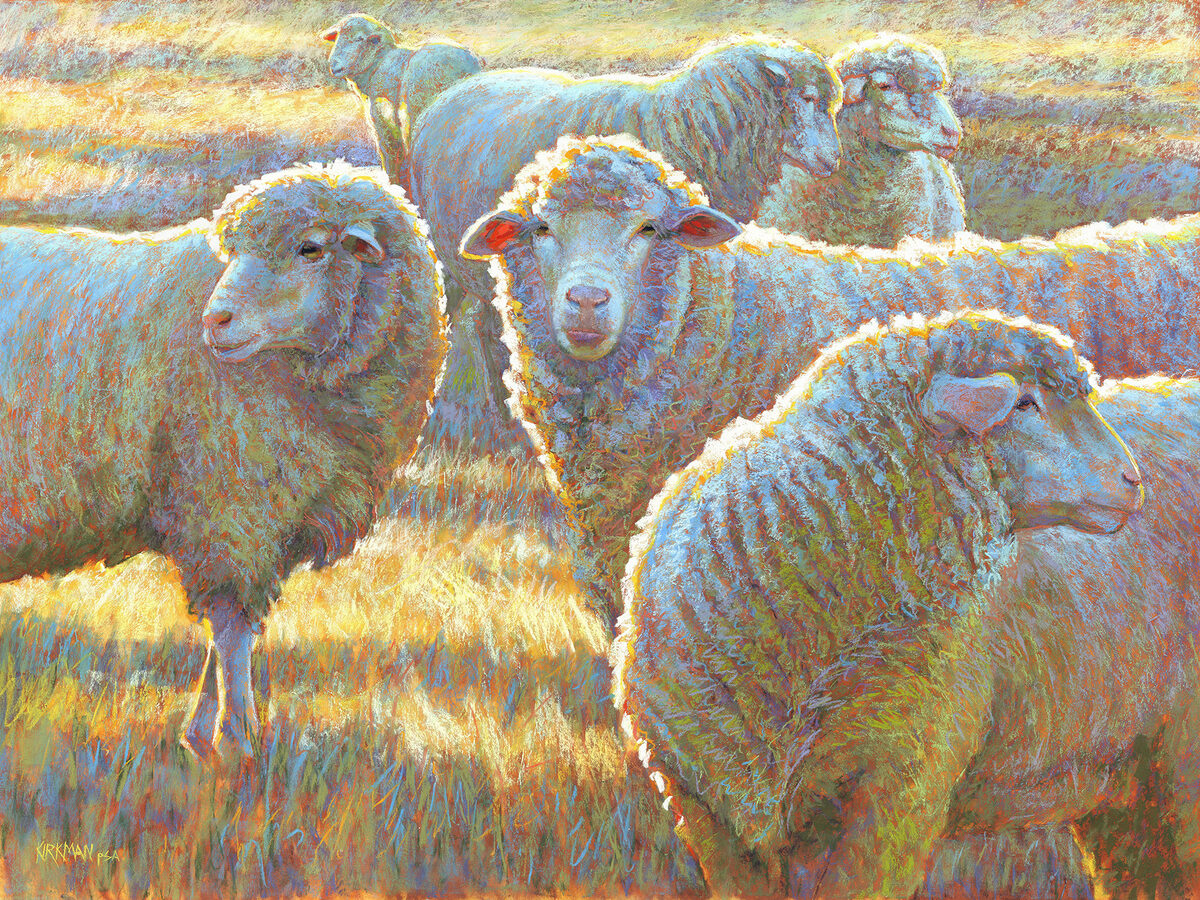 Seeking Social Sheep by Rita Kirkman