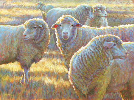 Seeking Social Sheep by Rita Kirkman