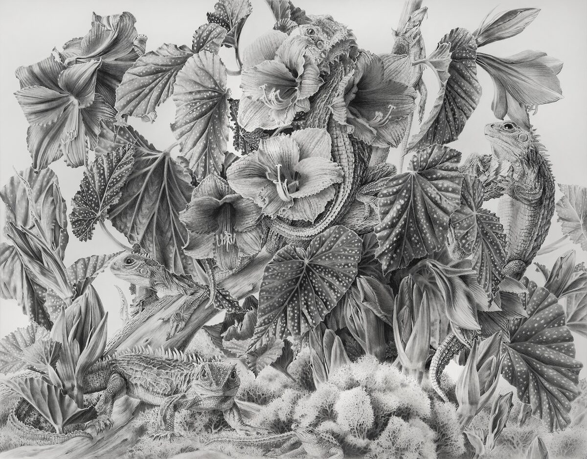 Scouts by Stephanie Anderson