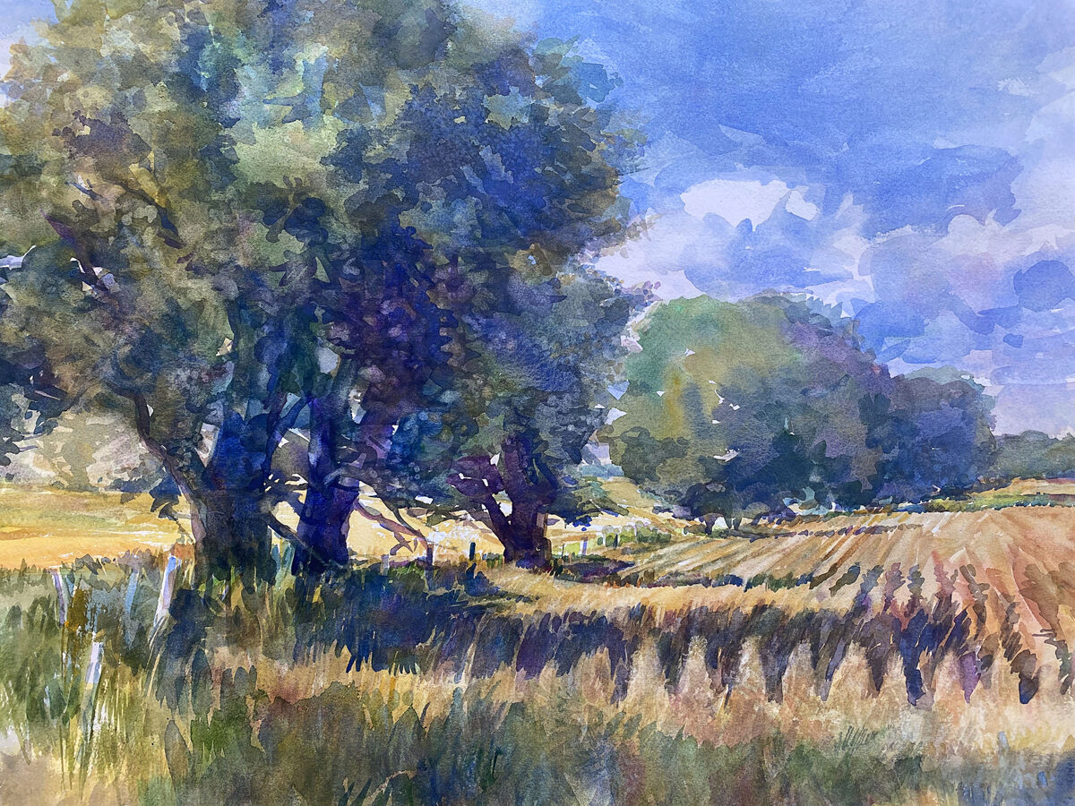 Shade & Shelter by Ellen Jean Diederich