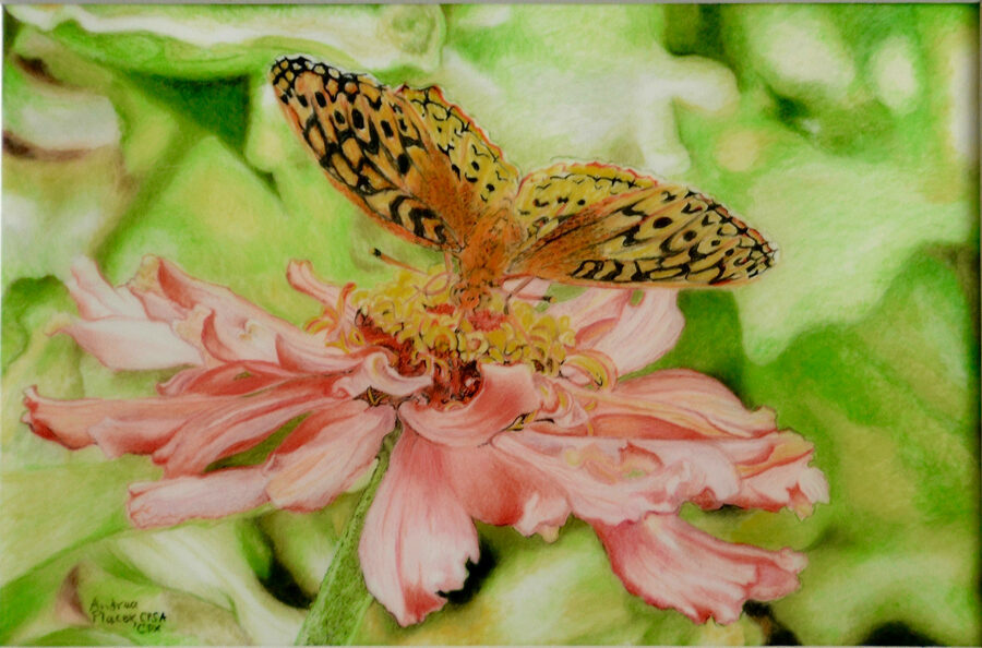 Stop and Sip by Andrea Placer