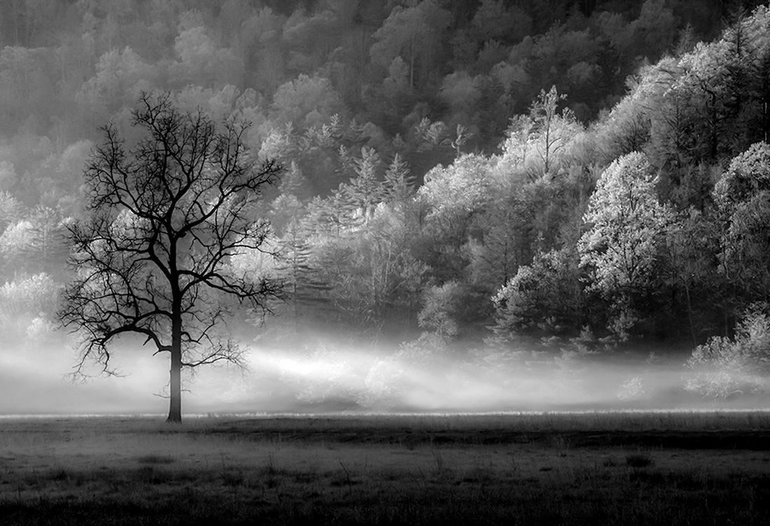 Misty Morning at Cataloochee Cove by Sandy Dimke