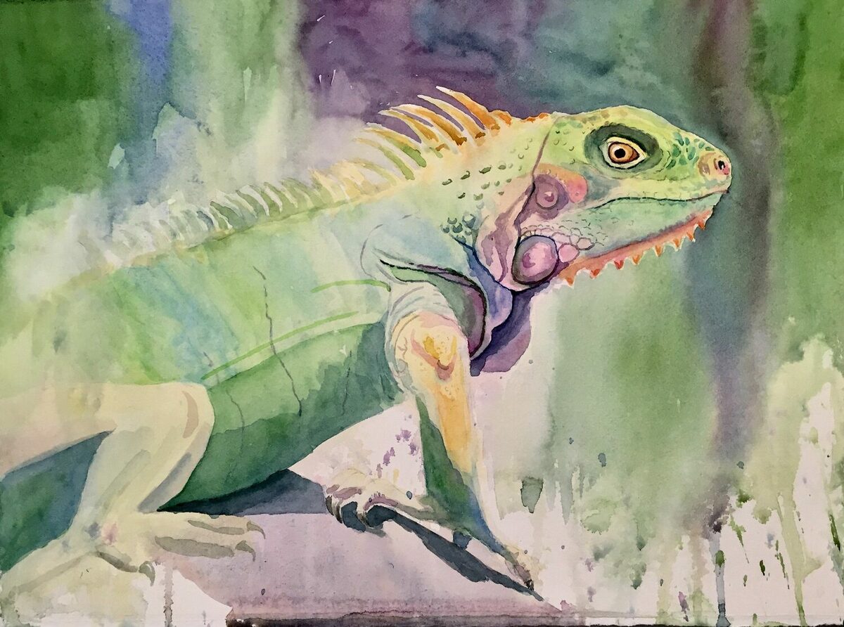 Iguana Be Alone by Mona Houle