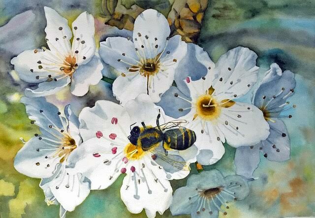  Apple Blossoms by Carrie Drilling