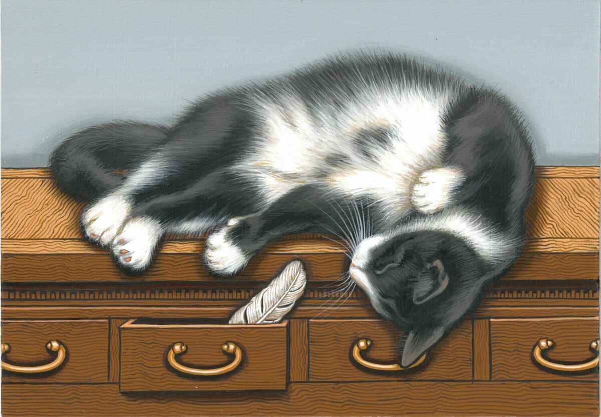 Flight Dreams by Sue Wall