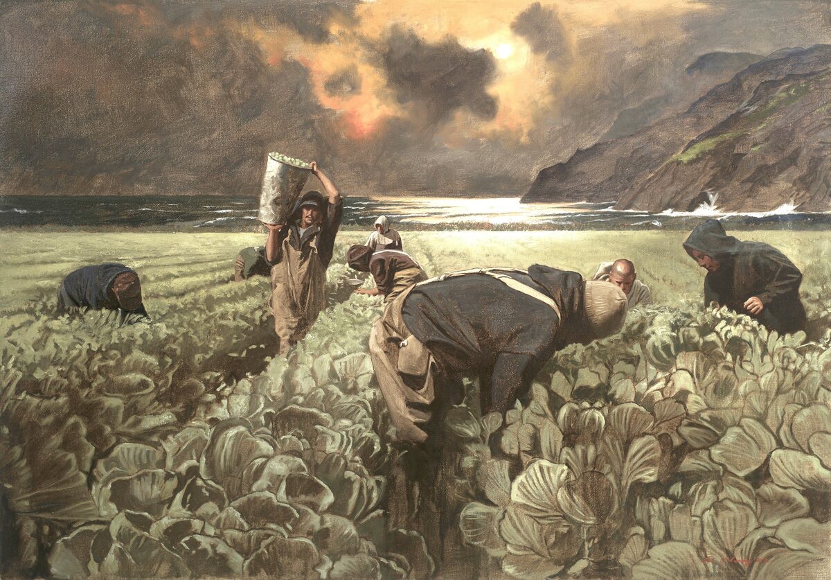 Coastal Harvest by Warren Chang
