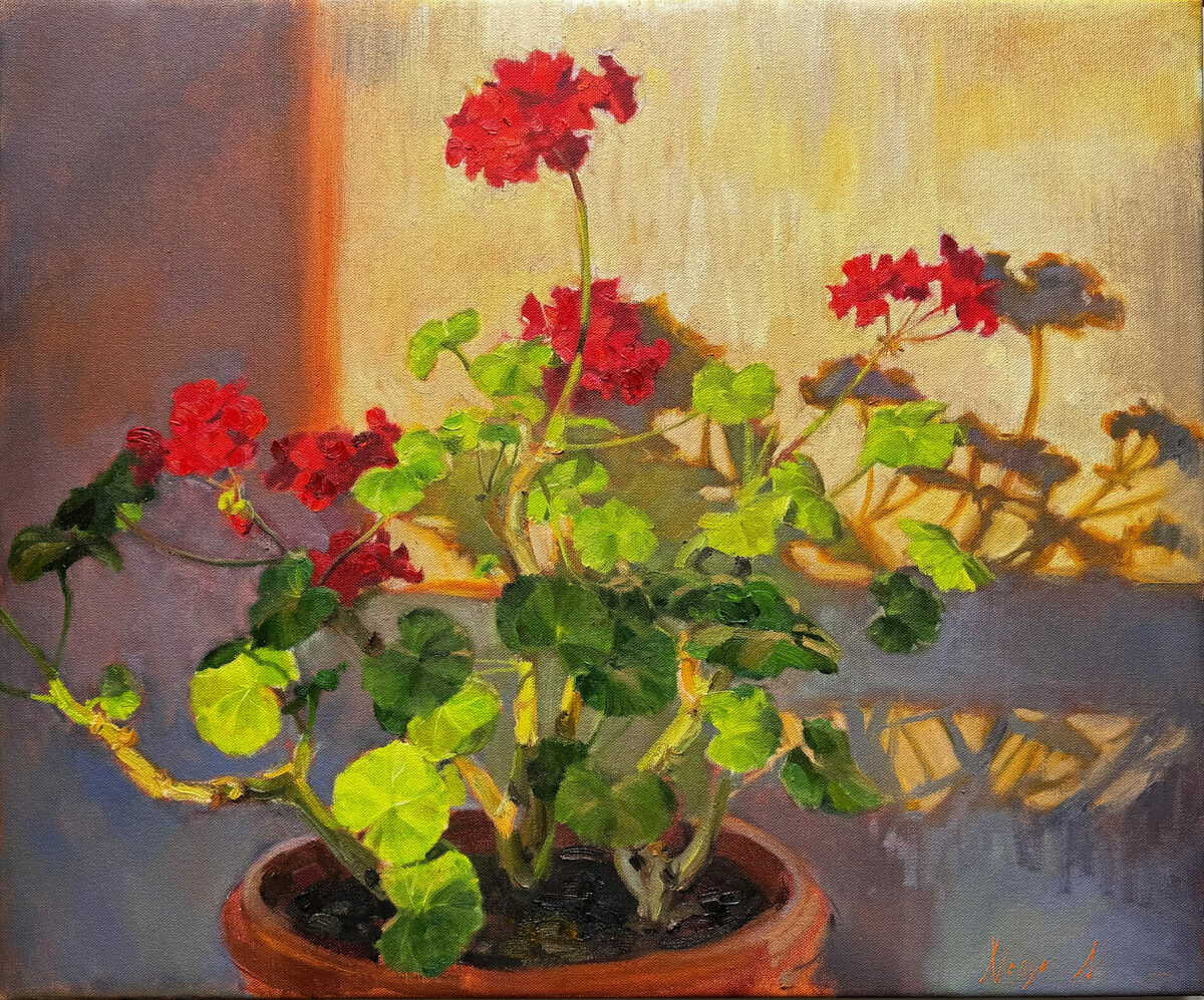The Pelargonium in Evening night by Nataliia Nosyk