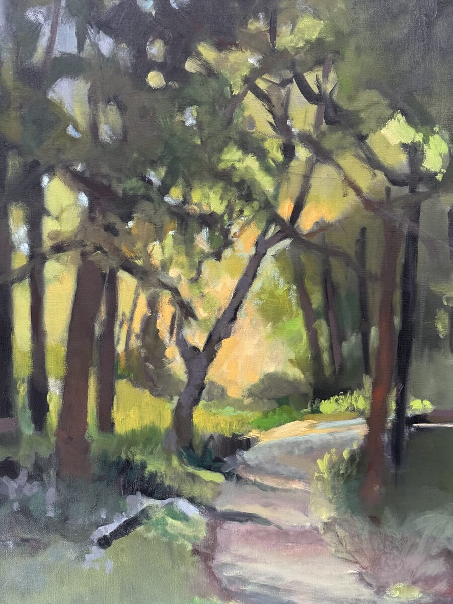 A Trick of Light by Brenda Gadow