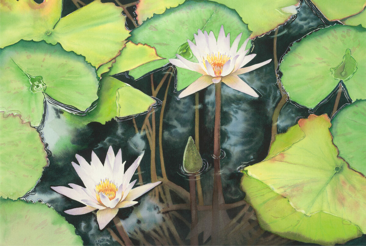 Exhibition artwork