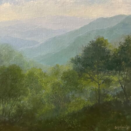 Mountain Valley Morning by Chris Griffin-Woods