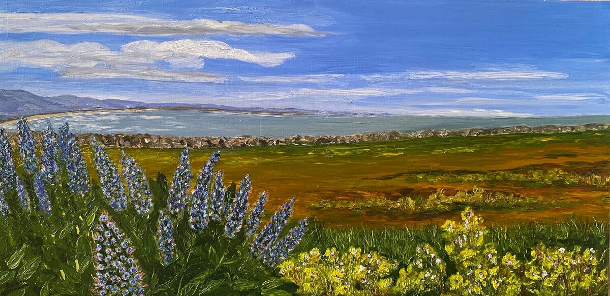 Pride of Madeira in Half Moon Bay by Rosemarie Willimann