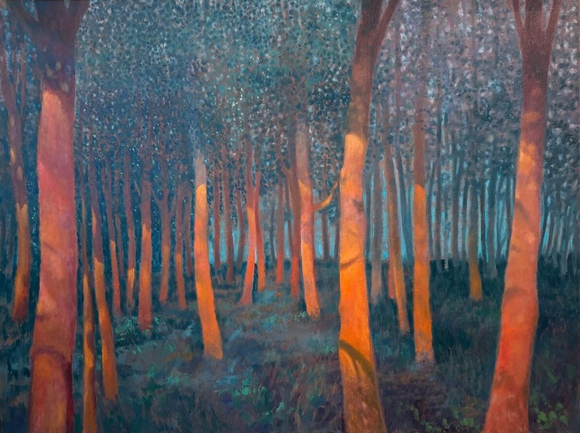 Forest sunlight at dusk by Ronald Piazza